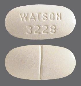 WATSON 3228 - Acetaminophen and Hydrocodone Bitartrate