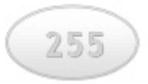 255 - Pramipexole Dihydrochloride Extended-Release