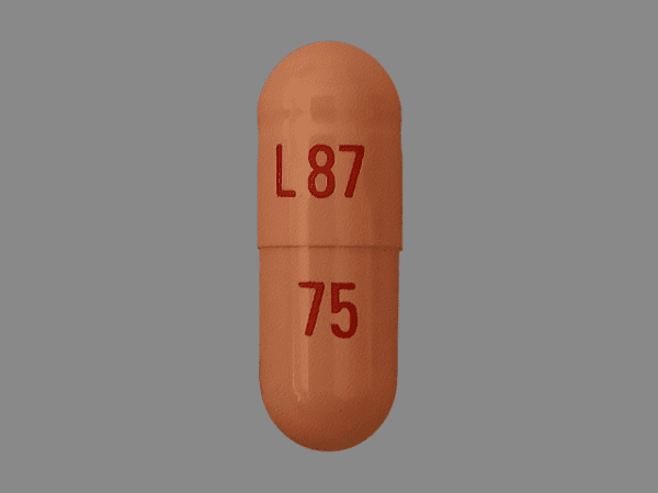 L 87 75 - Venlafaxine Hydrochloride Extended-Release