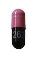 263 - Lansoprazole Delayed-Release