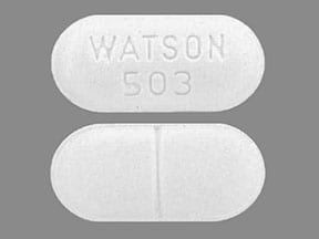 WATSON 503 - Acetaminophen and Hydrocodone Bitartrate