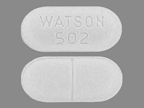 WATSON 502 - Acetaminophen and Hydrocodone Bitartrate