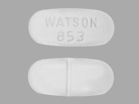 WATSON 853 - Acetaminophen and Hydrocodone Bitartrate