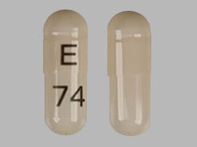 E 74 - Venlafaxine Hydrochloride Extended Release