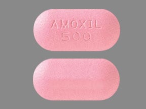 Image 1 - Imprint AMOXIL 500 - amoxicillin 500 mg