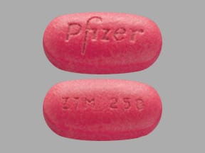 Pfizer ZTM 250 - Azithromycin Dihydrate