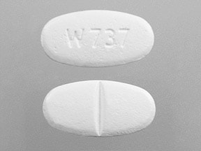 W 737 - Metoprolol Succinate Extended-Release