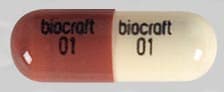 Imprint biocraft 01 - amoxicillin 250 MG