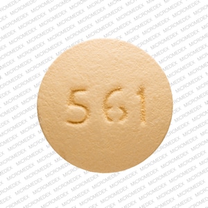 Par 561 - Lamotrigine Extended-Release