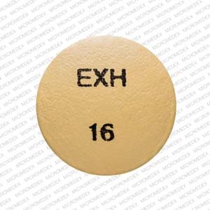 EXH 16 - Hydromorphone Hydrochloride Extended-Release