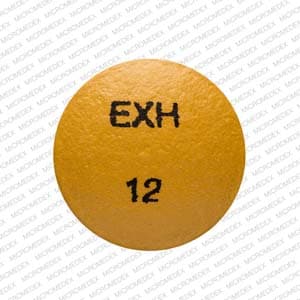 EXH 12 - Hydromorphone Hydrochloride Extended-Release