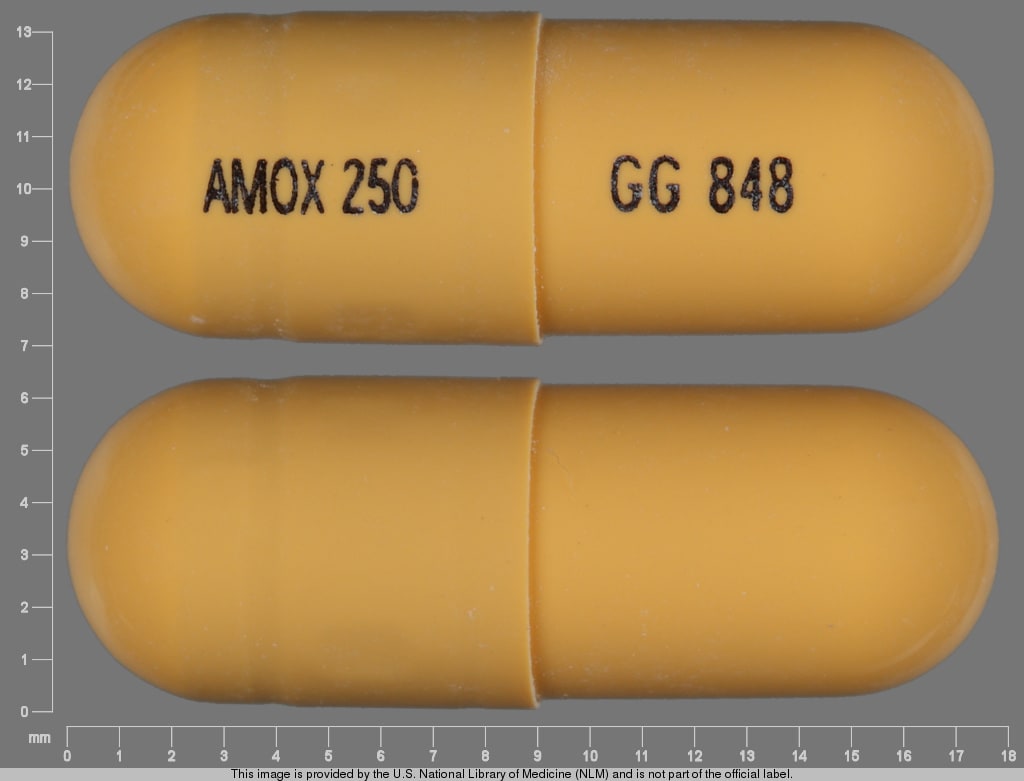 Image 1 - Imprint GG 848 AMOX 250 - amoxicillin 250 mg