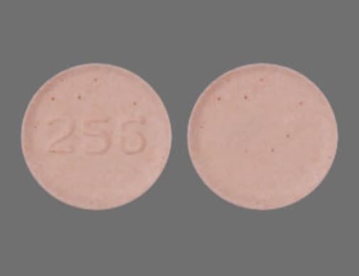 Image 1 - Imprint 256 - aripiprazole 10 mg