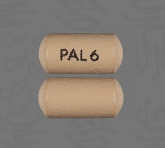 Image 1 - Imprint PAL 6 - paliperidone 6 mg