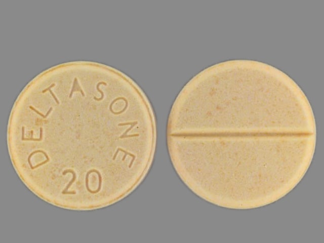 Image 1 - Imprint DELTASONE 20 - Deltasone 20 mg