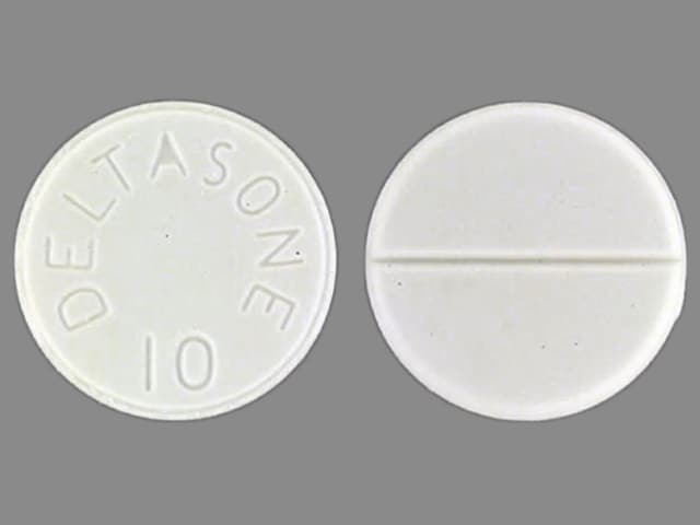 Image 1 - Imprint DELTASONE 10 - Deltasone 10 mg