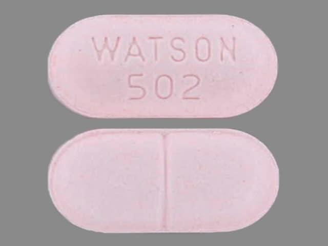 WATSON 502 - Acetaminophen and Hydrocodone Bitartrate