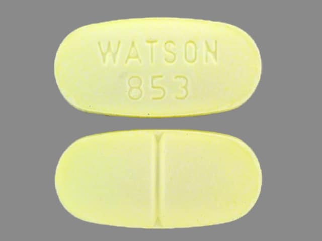 WATSON 853 - Acetaminophen and Hydrocodone Bitartrate