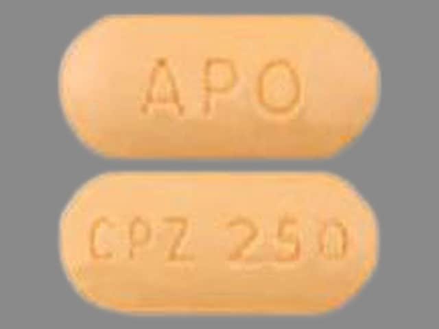 Image 1 - Imprint APO CPZ 250 - cefprozil 250 mg