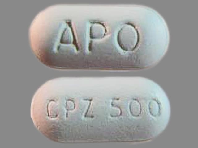 Image 1 - Imprint APO CPZ 500 - cefprozil 500 mg