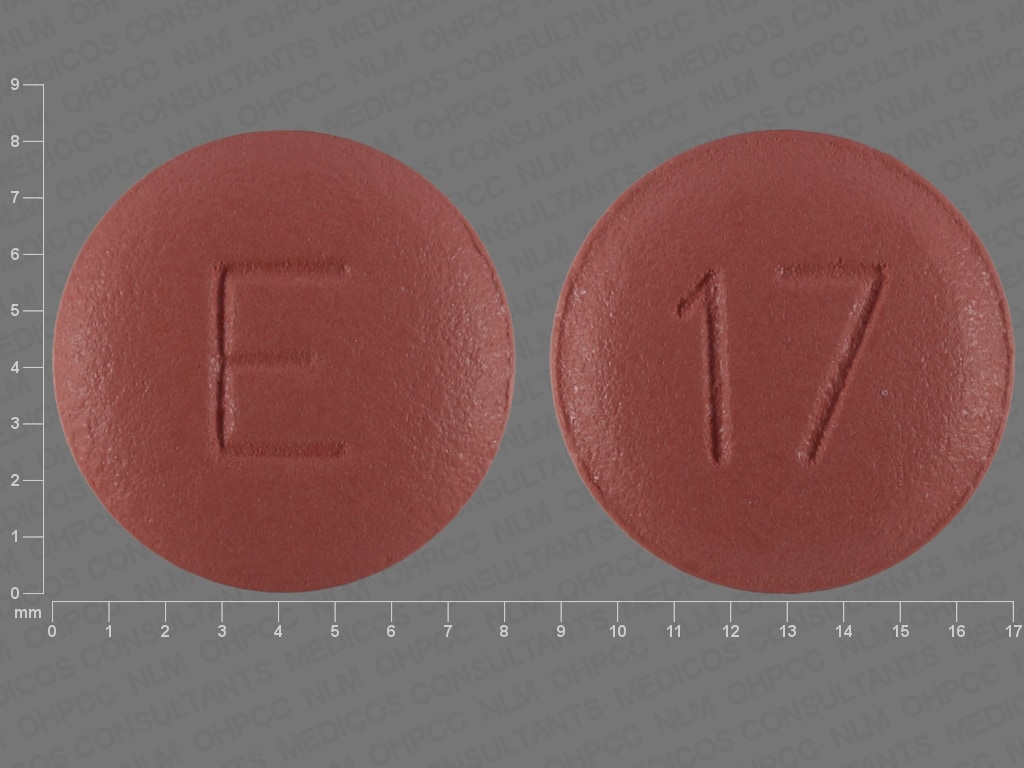 Image 1 - Imprint E 17 - benazepril 40 mg